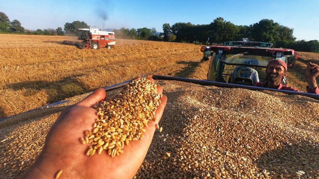 Konyalı çiftçinin bu telefonu almak için bir kamyon buğday satması gerekiyor 4